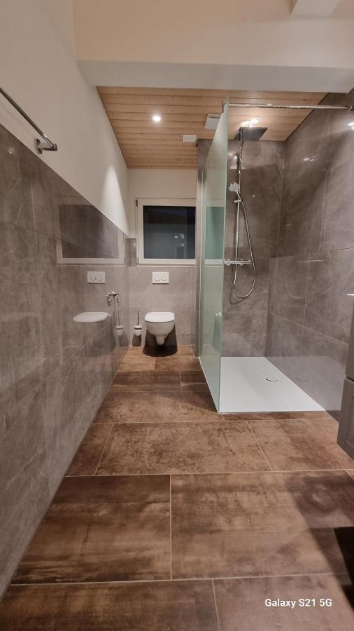 Mountain - Lake Apartement 1 Wilderswil Ngoại thất bức ảnh