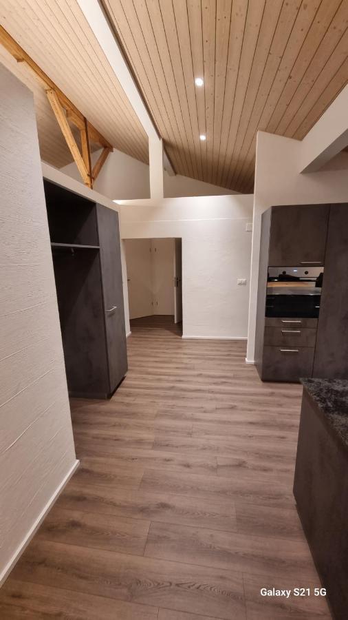 Mountain - Lake Apartement 1 Wilderswil Ngoại thất bức ảnh