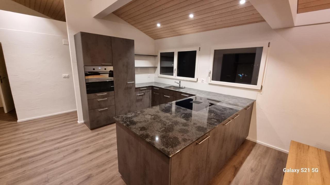 Mountain - Lake Apartement 1 Wilderswil Ngoại thất bức ảnh